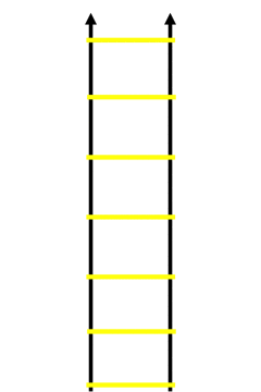 Koordinationsleiter Übungen: Step vorwärts (rechts)